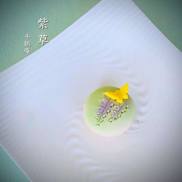 幸運の花「藤」を見るなら奈良公園へ